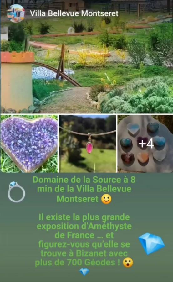Villa Bellevue - Avec Piscine Montséret Esterno foto